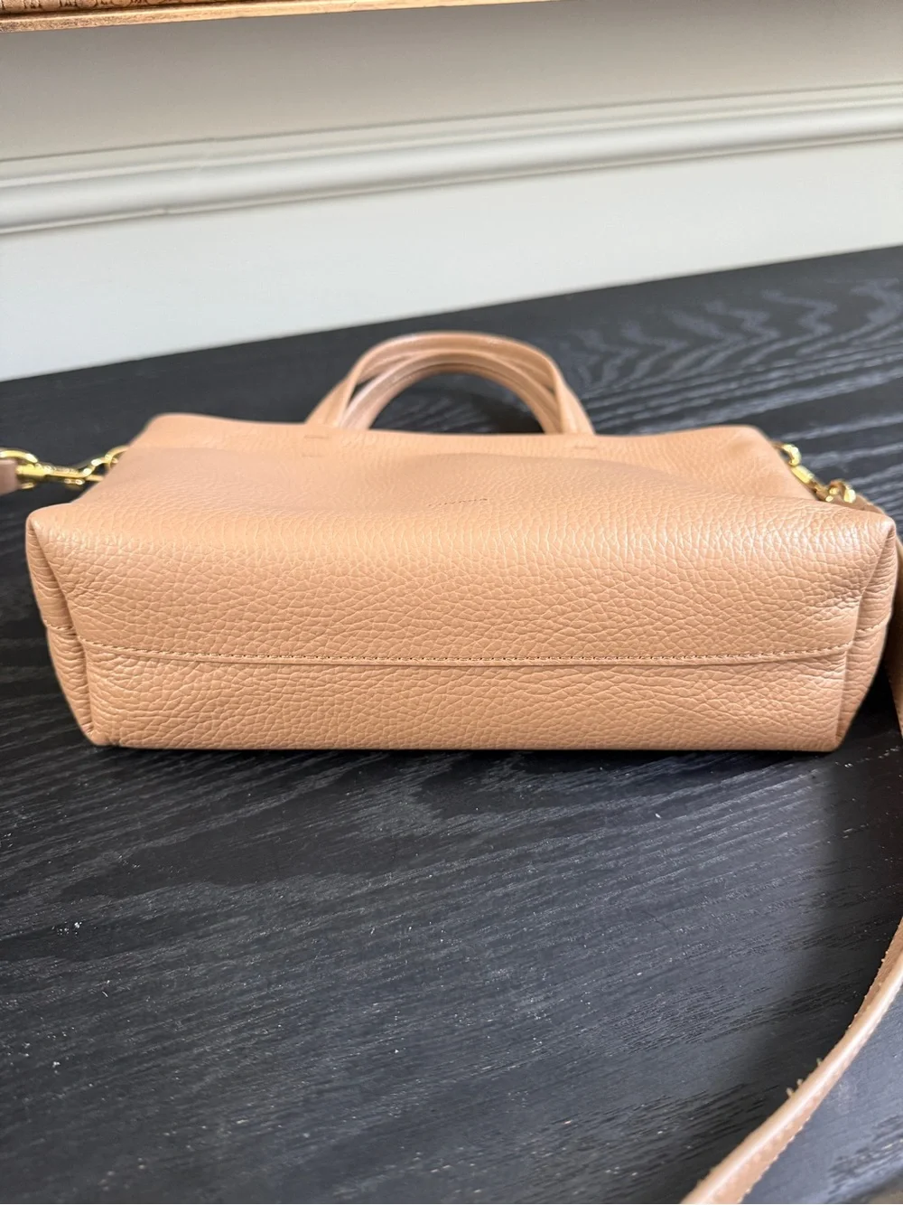 Cuyana Cappucino Mini Easy Zipper Tote